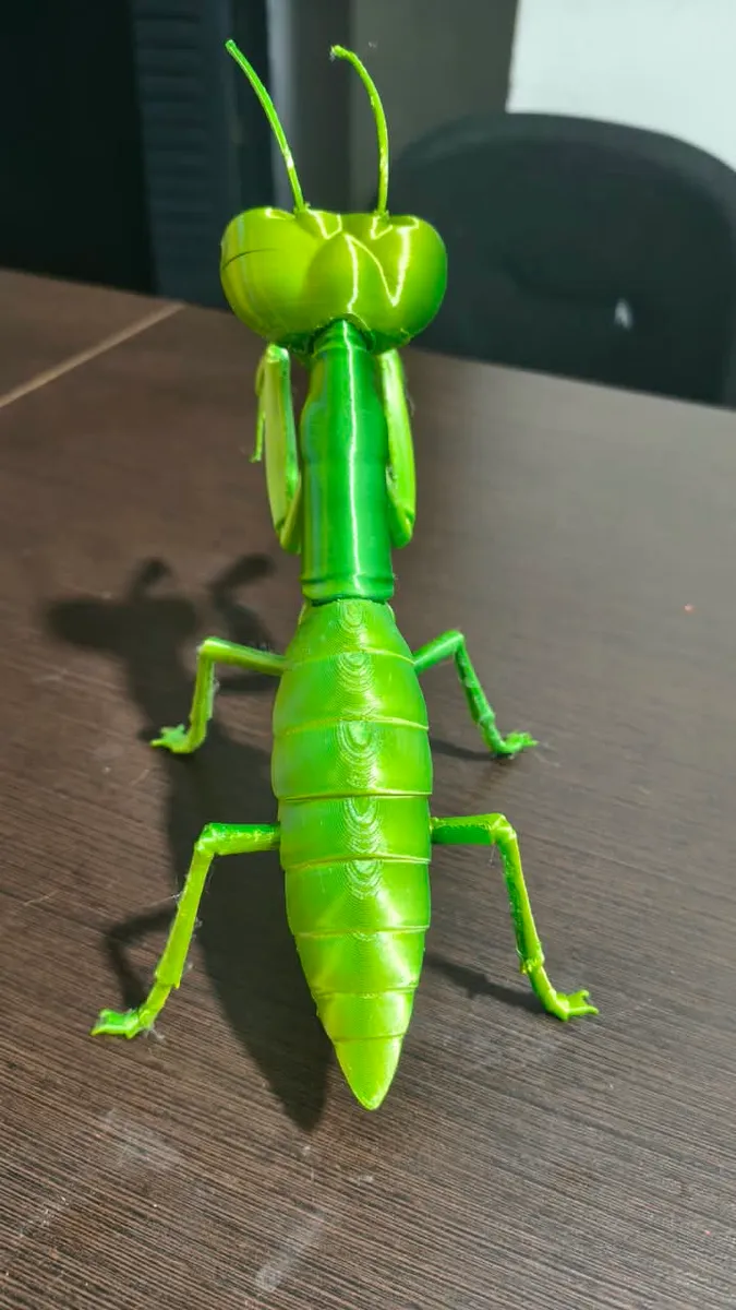 Mantis Hungry, foto 3